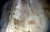 d) bmbacpanel3