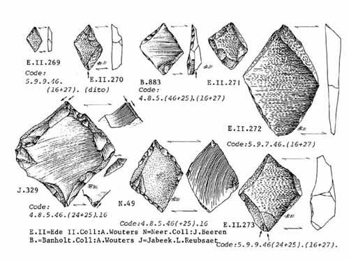 e)rhomboids