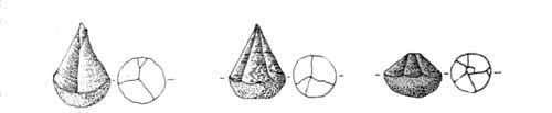 j)polyhedrns