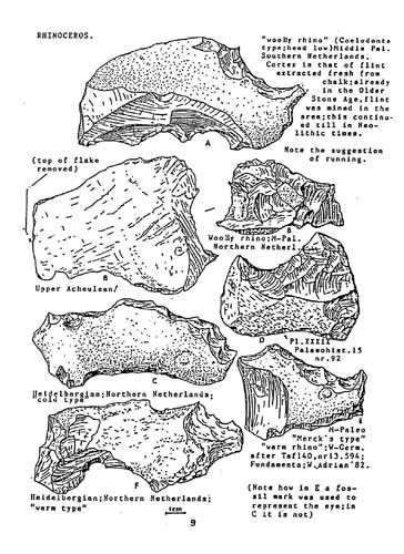 d)afrhino