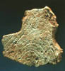 s) quneitra54