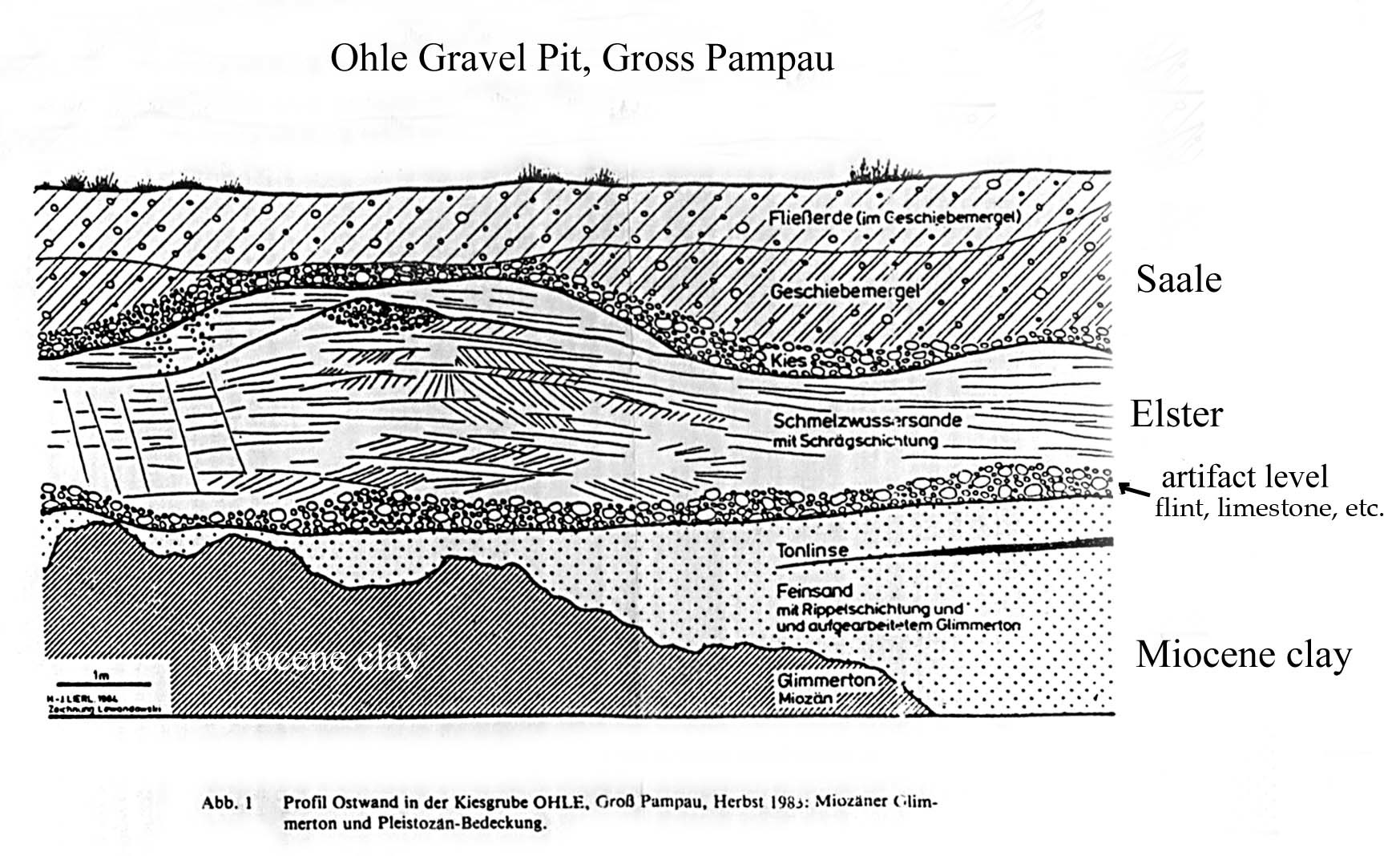 d)pampaustrat