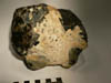 a) muskox097